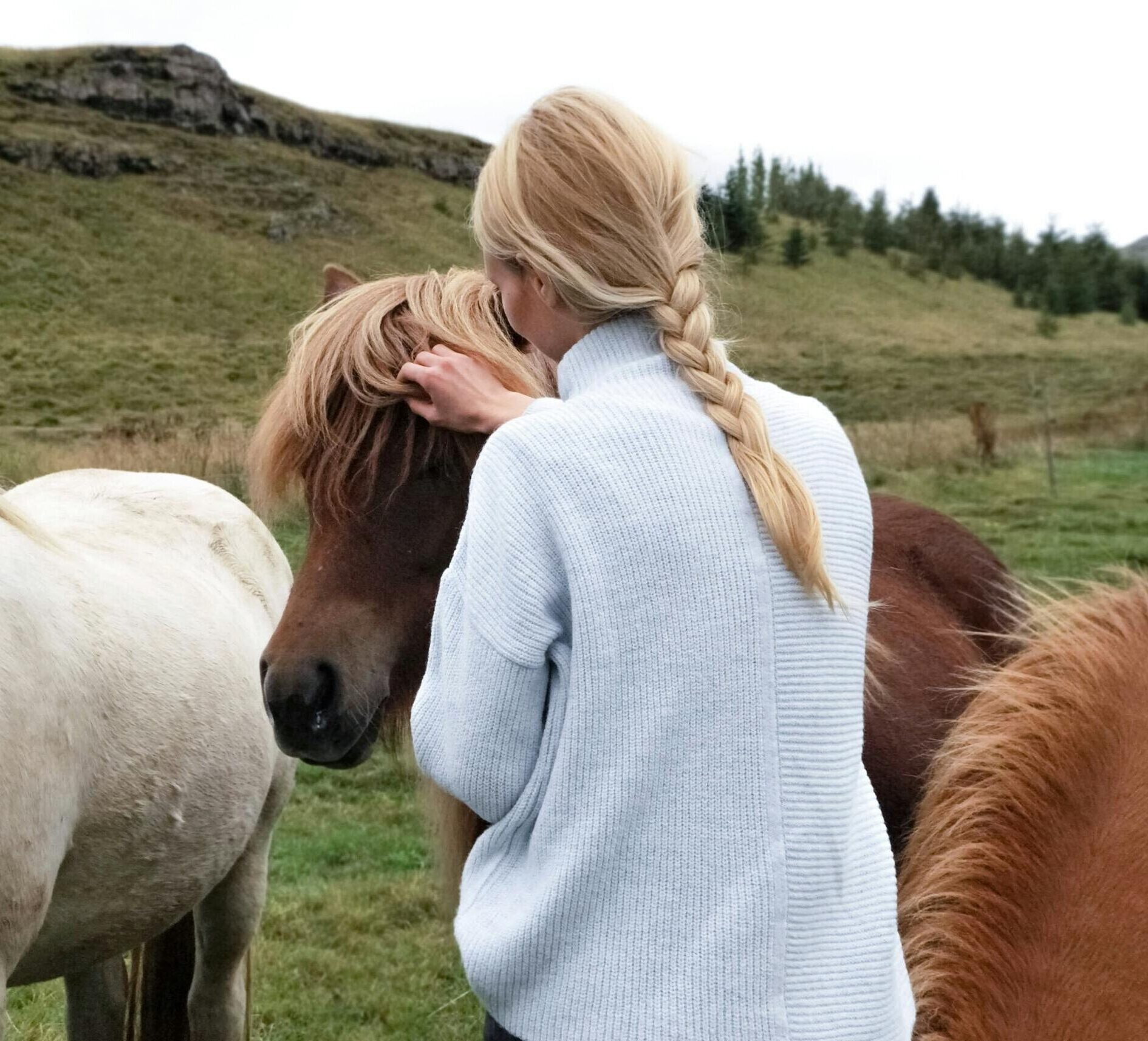 A woman with a braid lovingly caresses horses in a lush rural meadow.