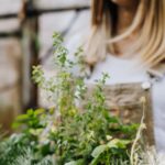 A woman holds a wooden crate filled with fresh herbs like basil and rosemary in a greenhouse setting.